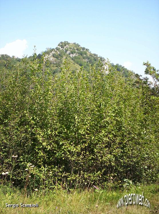08 La cima del Barro si fa vedere.JPG